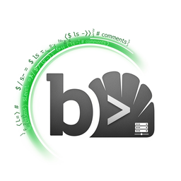 Shell Scripting (Bash/Zsh)