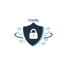 TLS / SSL & PKI